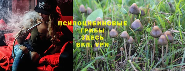 ГАЛЛЮЦИНОГЕННЫЕ ГРИБЫ Бугульма