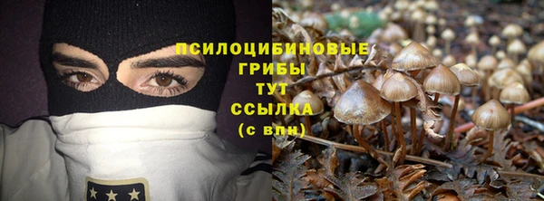 ГАЛЛЮЦИНОГЕННЫЕ ГРИБЫ Бронницы