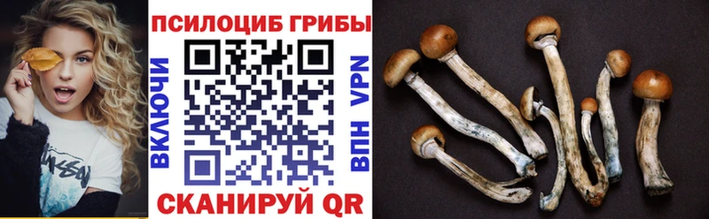 Псилоцибиновые грибы GOLDEN TEACHER наркотики Александровское